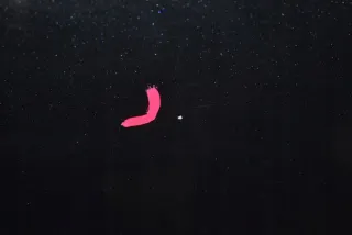  Дверь задняя левая Mazda 3 BK Арт e11249880, вид 5