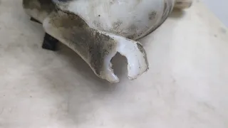 9671317080,78662B0208 Бачок омывателя Citroen DS5 Арт 20487671, вид 5