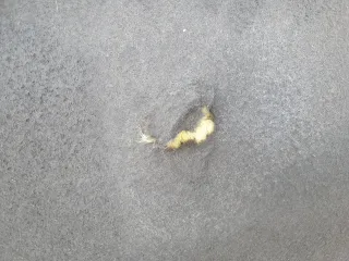 BJ32-16854 Капот Land Rover Evoque 2 Арт AL16973350839, вид 9