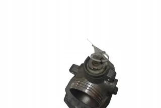 408239821001 Карбюратор Citroen C4 1 Арт AL17645738405, вид 5