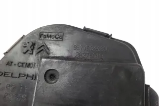 9673534480 Карбюратор Citroen C4 Picasso 1 Арт AL17646963163, вид 1