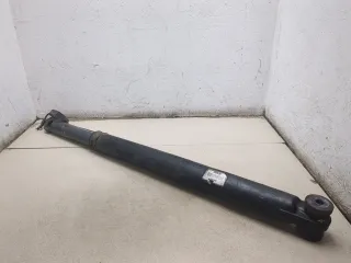 1896448 Цилиндр подъёма кабины DAF XF 106 Арт 20538999, вид 1