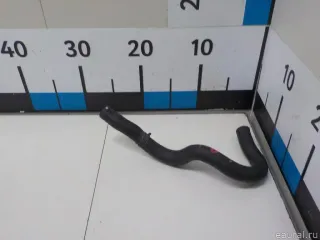 194335G0A00 Шланг КПП Acura MDX 3 Арт E51635106, вид 1