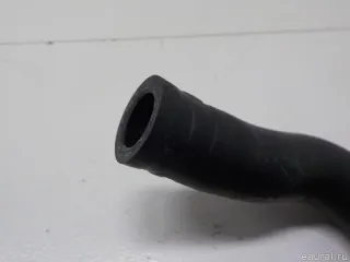 194335G0A00 Шланг КПП Acura MDX 3 Арт E51635106, вид 6