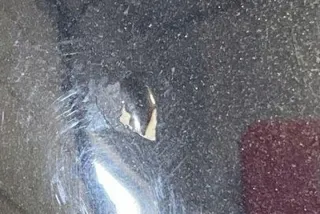 012220 Зеркало наружное правое Mazda 121 3 Арт e12219008, вид 2