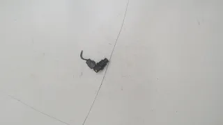 ZJ0118221 Датчик коленвала Mazda 3 BK 1.6л Инжектор Арт 8118566, вид 5