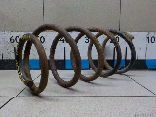 5149320 Пружина передняя Ford Tourneo Арт E31262230, вид 3