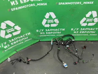 10042600R Проводка двери задней правой Tesla model S Арт 2000000051985, вид 1