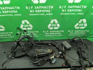 9658277980 Проводка двигателя Citroen Xsara Picasso 1.6л HDi Арт 2000000054417, вид 1