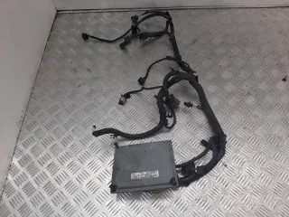 S118325001 Блок управления двигателем Ford Focus 2 Арт AG1041493, вид 2