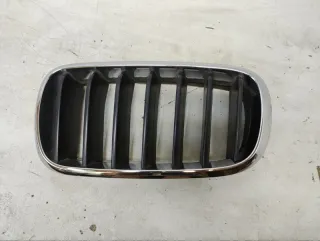 51117303109 Решетка радиатора BMW X5 F15 Арт lz195478, вид 1