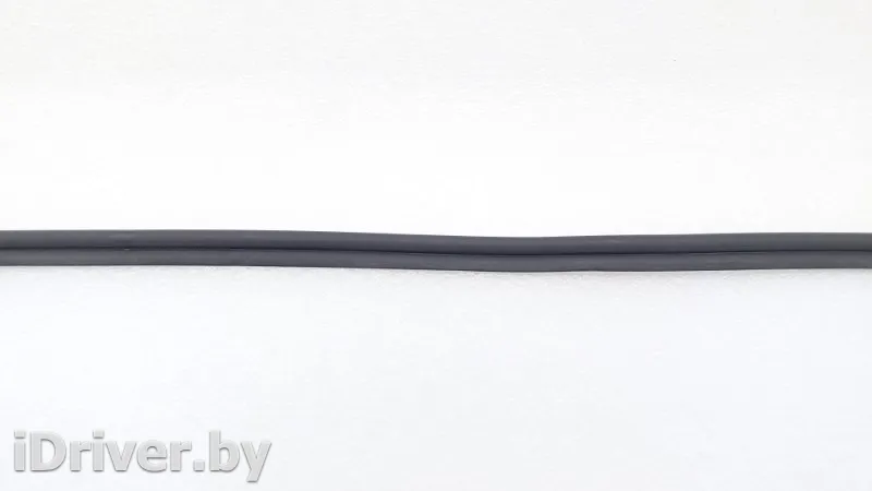 51767341645 Уплотнитель двери BMW 5 G30/G31 Арт ST145110, вид 3