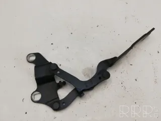 nocode , artPLO1240 Петля капота BMW 3 E90/E91/E92/E93 Арт PLO1240, вид 1