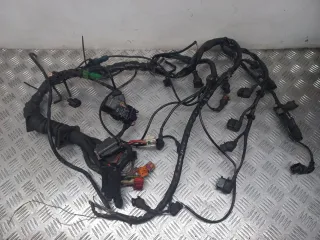  проводка Audi A6 C5 (S6,RS6) Арт AG1077020, вид 1