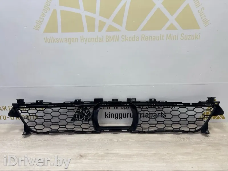 51118069888 Решетка бампера BMW X7 g07 Арт TP102108, вид 14