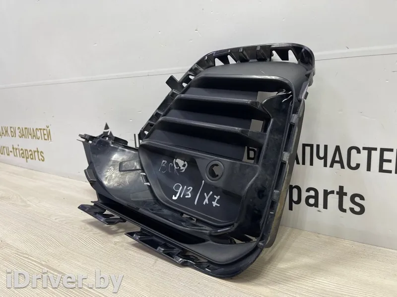 51117473035 Решетка бампера BMW X7 g07 Арт TP102394, вид 2