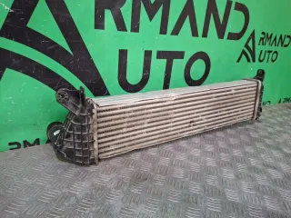 1119105XKM01A, 7 интеркулер Tank 300 Арт 349262RM, вид 6