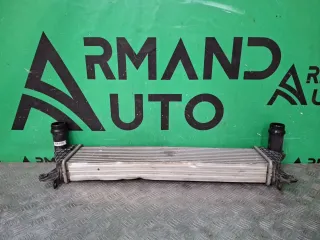 1119105XKM01A, 7 интеркулер Tank 300 Арт 349262RM, вид 7
