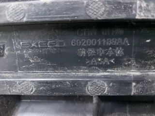 602001189AA, 8 Решетка бампера EXEED TXL Restailing Арт 355431RM, вид 8