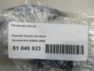 91890L0060 Hyundai-Kia Проводка (коса) Hyundai Sonata (DN8) Арт E81045923, вид 7