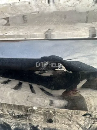 41007455942 Крышка багажника BMW 3 G20/G21 Арт AM23672672, вид 2