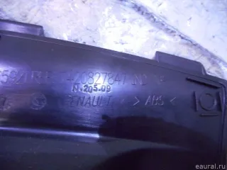 7420827847 Renault Накладка декоративная Renault Magnum Арт E8229825, вид 3