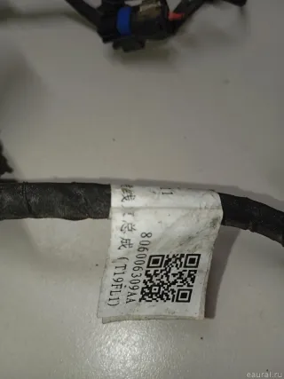806006309AA Chery Проводка (коса) Chery Tiggo  2 Арт E23677038, вид 11