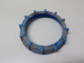 101600308860 Geely Гайка топливного насоса Geely Emgrand x7 Арт E52518684, вид 1
