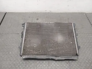 5N0121253L Радиатор основной Volkswagen Tiguan 1 Арт 8930658, вид 1