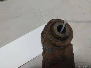 55110JD000 Nissan Рычаг задний нижний Renault Koleos Арт E60625851, вид 5