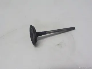 132011LA0A Nissan Клапан впускной Infiniti QX80 1 restailing Арт E51603035, вид 1