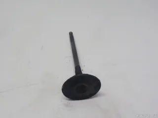 132011LA0A Nissan Клапан впускной Infiniti QX80 1 restailing Арт E51603035, вид 5