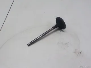 132011LA0A Nissan Клапан впускной Infiniti QX80 1 restailing Арт E51603035, вид 8