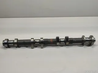 130204W003 Nissan Распредвал Nissan Terra Арт E23730478, вид 1
