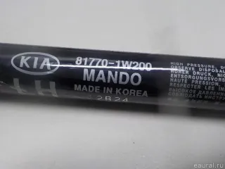 817701W200 Hyundai-Kia Амортизатор двери багажника Kia Rio 3 Арт E51991605, вид 7