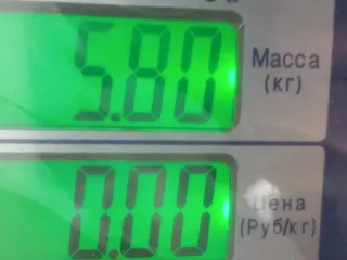  Пружина задняя Audi A6 C5 (S6,RS6) Арт AG1090654, вид 4
