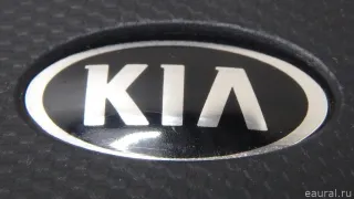 95440C5000 Hyundai-Kia Брелок Kia Sorento 3 restailing Арт E70725413, вид 10