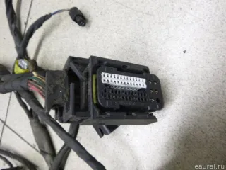 2721501633 Mercedes Benz Жгут проводов (Проводка) Mercedes R W251 Арт E30481648, вид 5