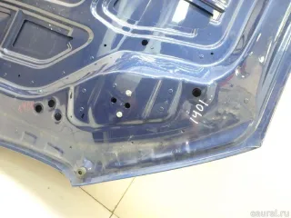 41008499153 BMW Капот BMW X4 G02 Арт E95770982, вид 12