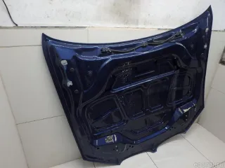 41008499153 BMW Капот BMW X4 G02 Арт E95770982, вид 15