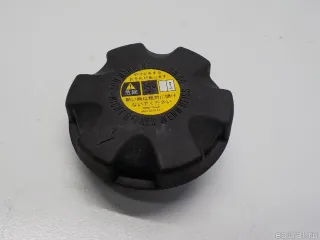 17117639020 BMW Крышка расширительного бачка BMW X6 E71/E72 Арт E41175929, вид 1