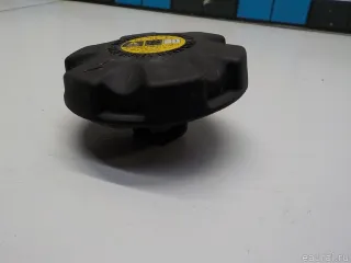 17117639020 BMW Крышка расширительного бачка BMW X6 E71/E72 Арт E41175929, вид 2