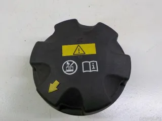 17117639020 BMW Крышка расширительного бачка BMW X6 G06 Арт E41196289, вид 1