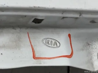 66321H0250 Hyundai-Kia Крыло переднее правое Kia Rio 4 Арт E31669041, вид 6