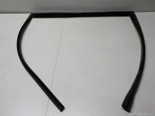 51357310318 BMW Уплотнитель стекла двери BMW X6 E71/E72 Арт E50932786