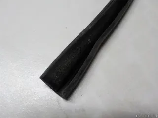 51357310318 BMW Уплотнитель стекла двери BMW X6 E71/E72 Арт E50932786, вид 7