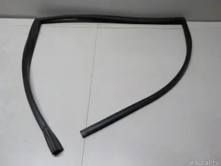 51357310318 BMW Уплотнитель стекла двери BMW X6 E71/E72 Арт E50932786, вид 10
