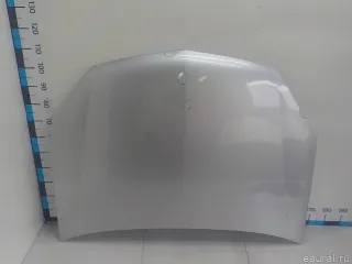 1160255 GM Капот Opel Signum Арт E31674775, вид 1