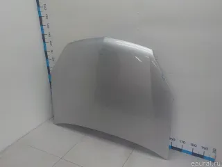 1160255 GM Капот Opel Signum Арт E31674775, вид 2
