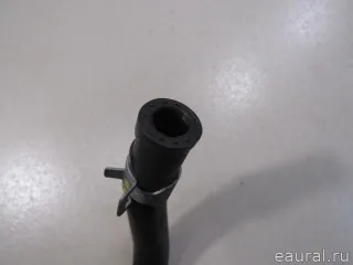 254683CGF0 Hyundai-Kia Шланг системы охлаждения Hyundai Genesis 2 Арт E80818296, вид 4